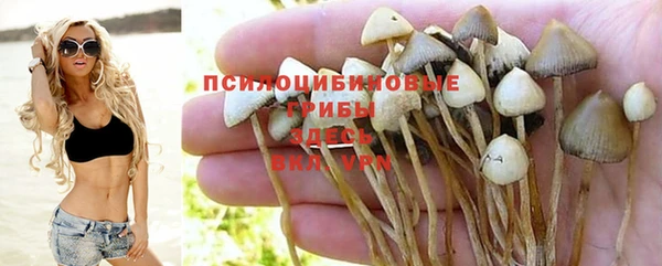 амфетамин Аркадак